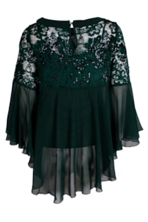 sh1703636v-verde2