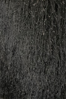 fw24-15-1